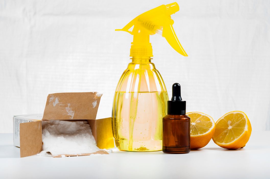Green Cleaning Products, Main Image