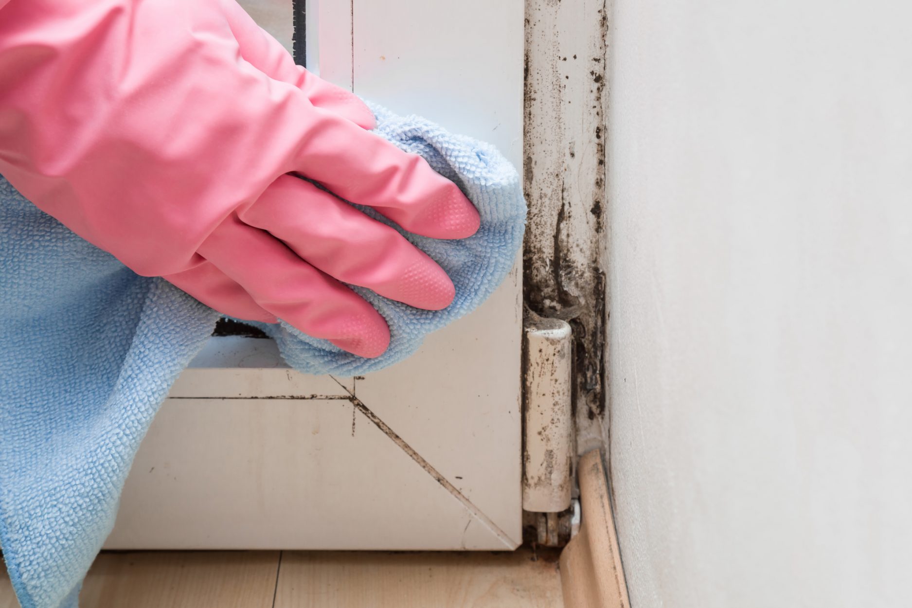 Green Cleaning Products, Mold Removal
