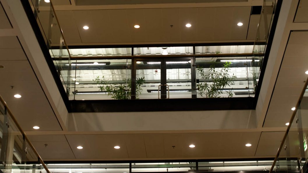 Choosing a Commercial Contract Cleaner