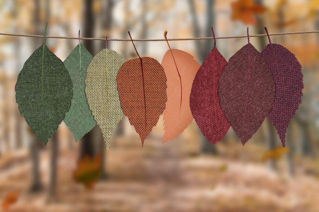 autumn leaves