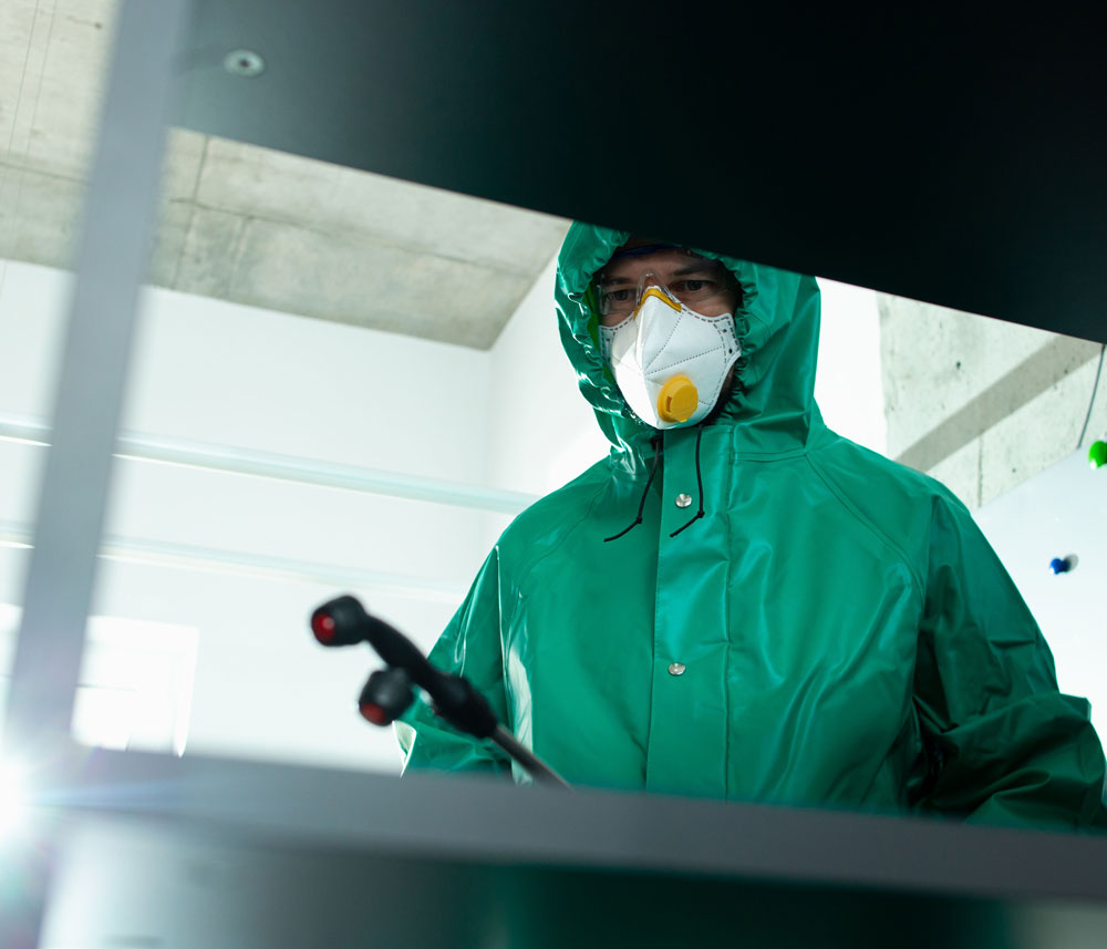 fogging service
