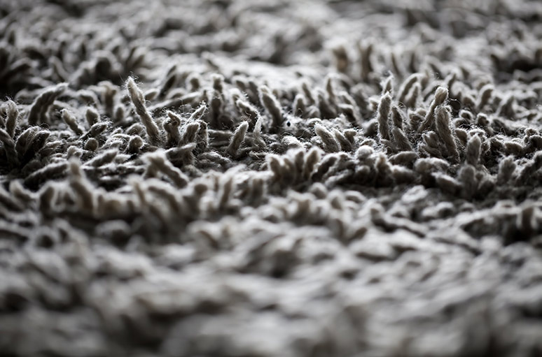 how to clean your carpet
